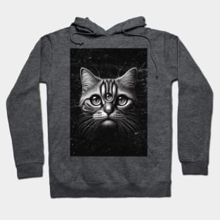 meow in the grunge Hoodie